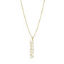Collar Serena Nombre Vertical – Baño de Oro 14K - joyería AMANZA